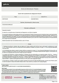 Documento Opinión de cumplimiento